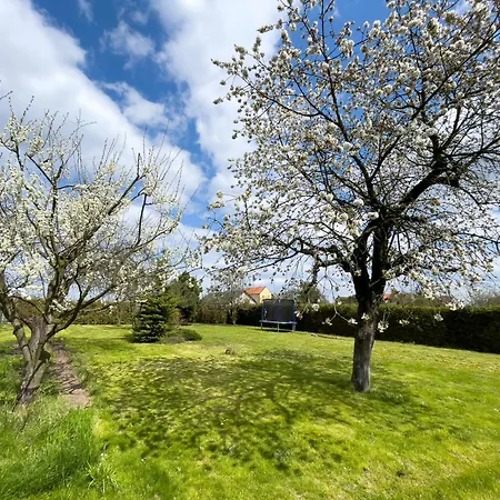 U Babi Casa de Férias